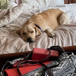 Meet your Posher, Erin